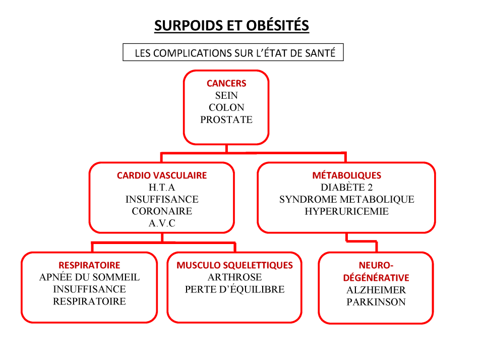 APA Obésité Diabète - p.07