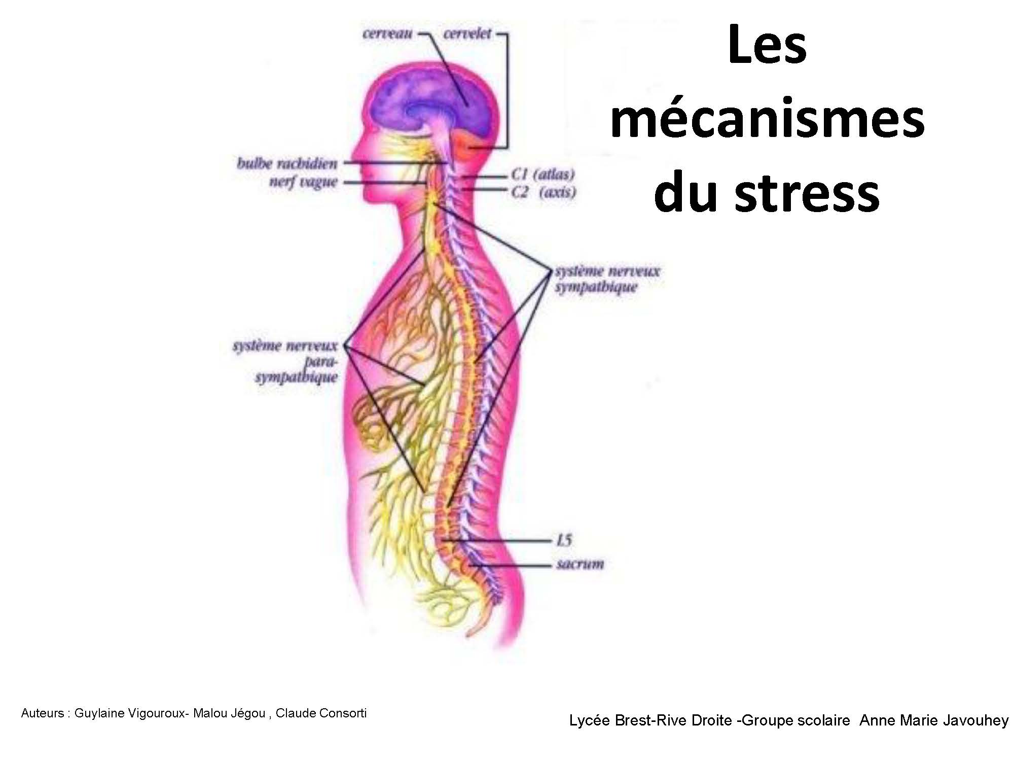 Rue du Stress - p.17