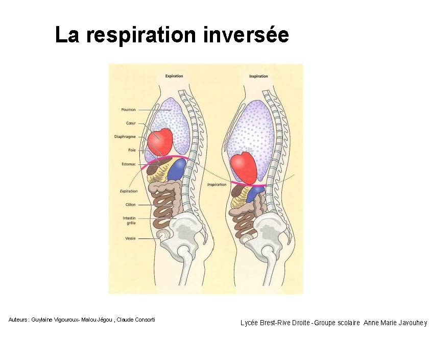 Rue du Stress - p.20